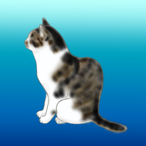 私