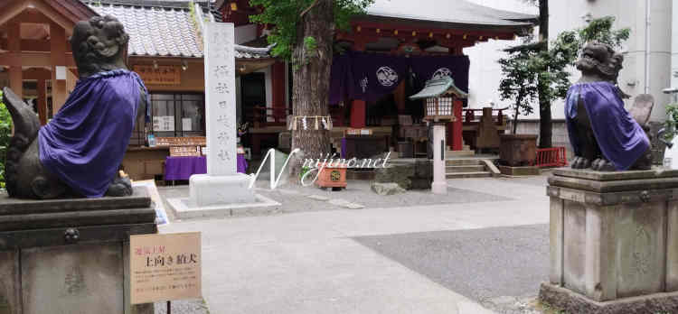 日本橋日枝神社狛犬・社号標と本殿